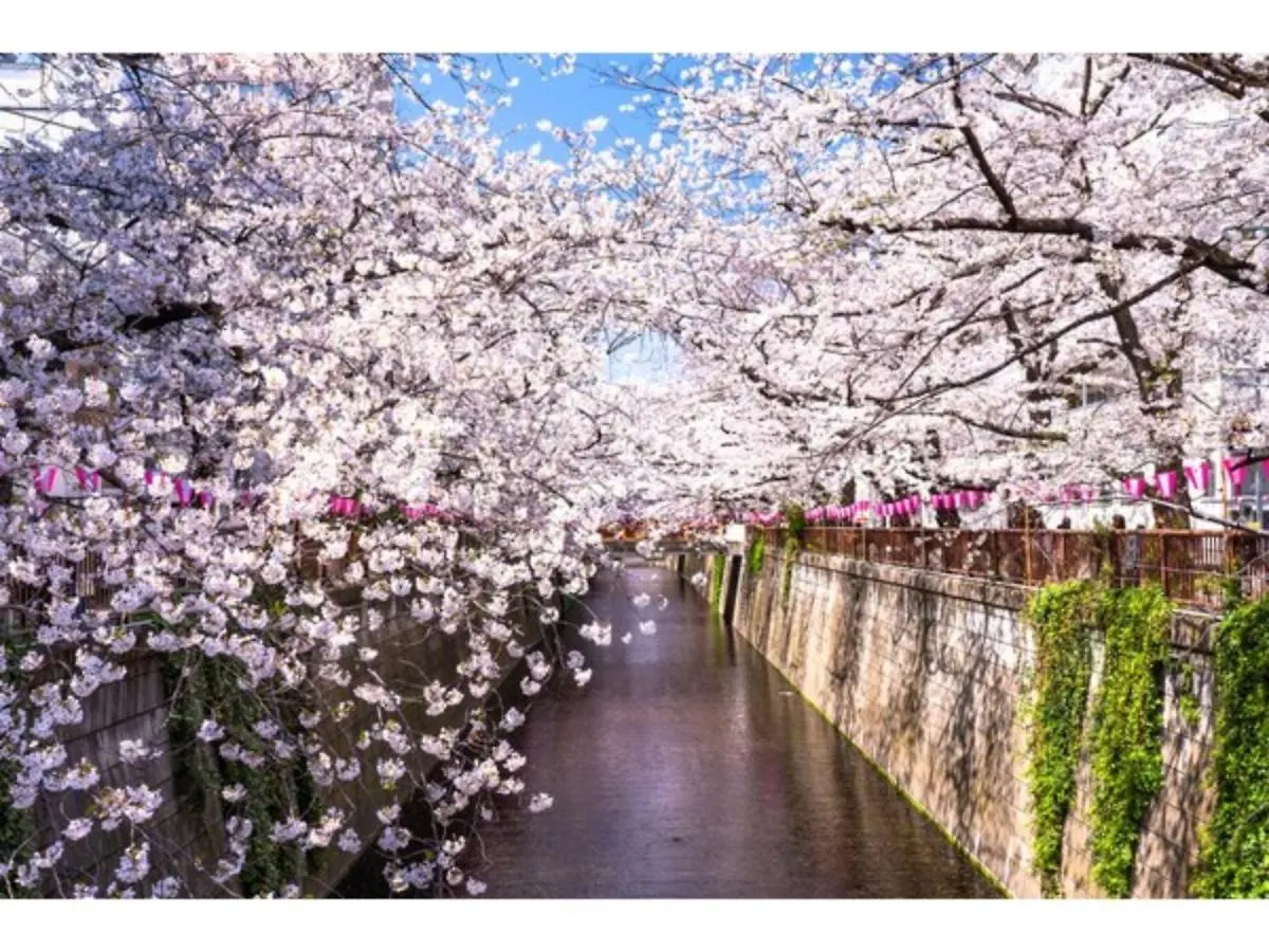 Act Hotel Shibuya - Vacation Stay 84228 Tokyo